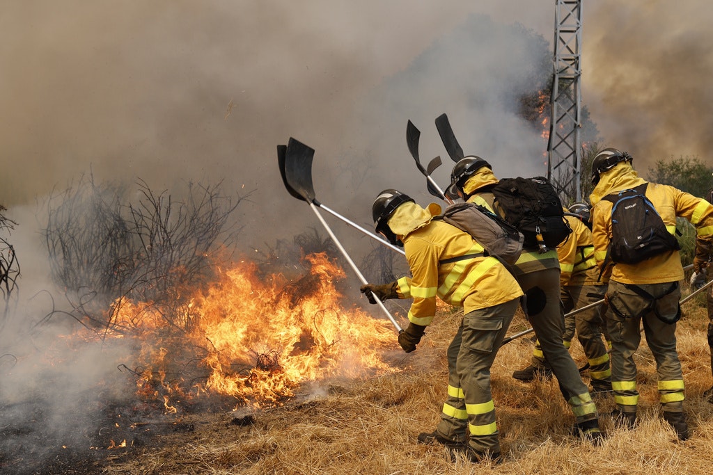 Sfaturi importante pentru supraviețuirea în caz de incendiu de vegetație