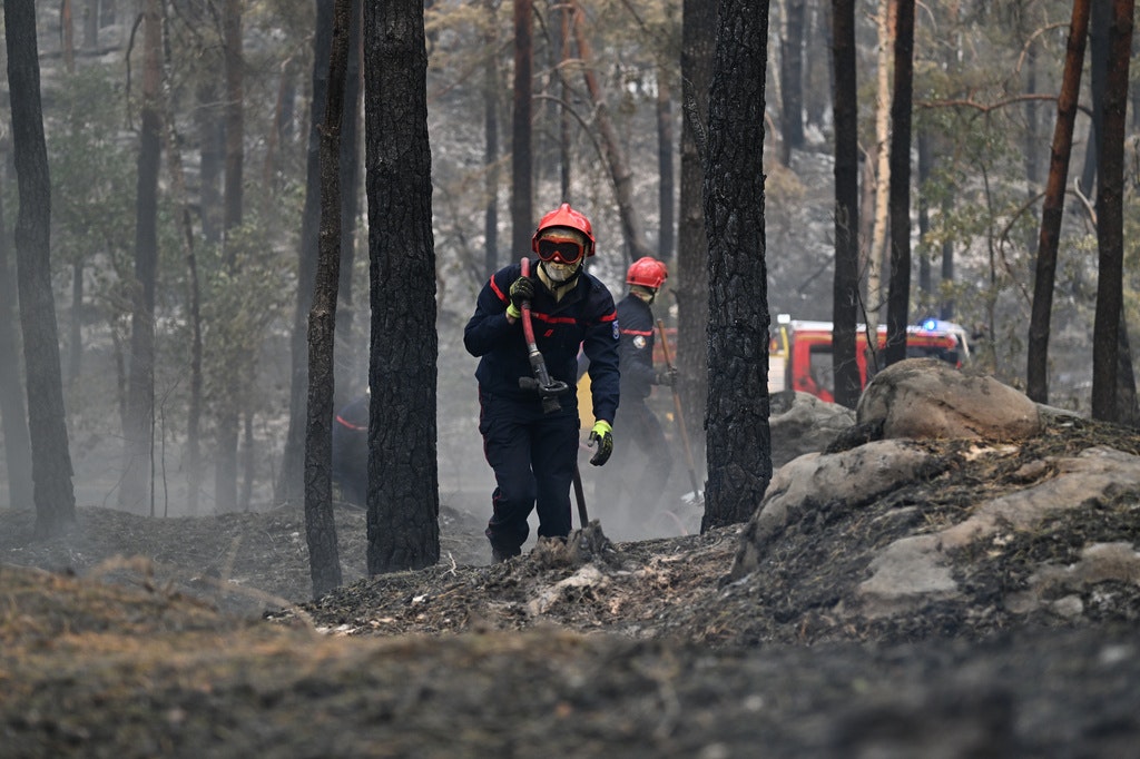 Pompier voluntar reținut pentru incendierea pădurii Fontainebleau lângă Paris