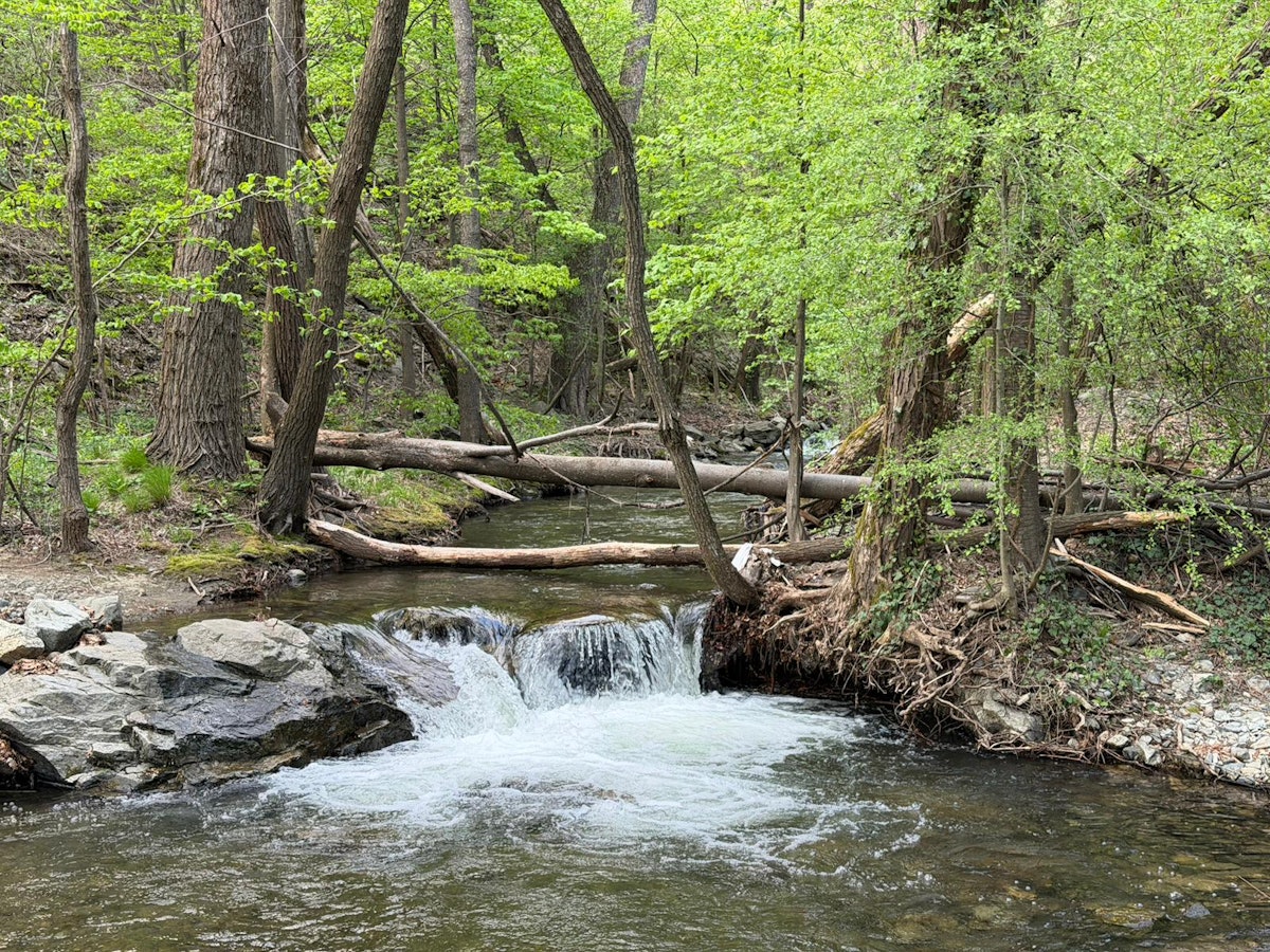 Județul Caraș-Severin, plin de atracții naturale și culturale autentice