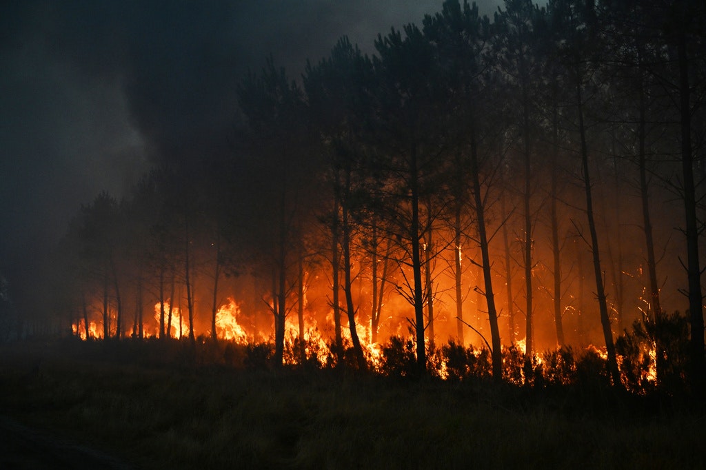 Incendiile devastatoare din Franța și Spania. Cauze și dificultăți în stingerea lor