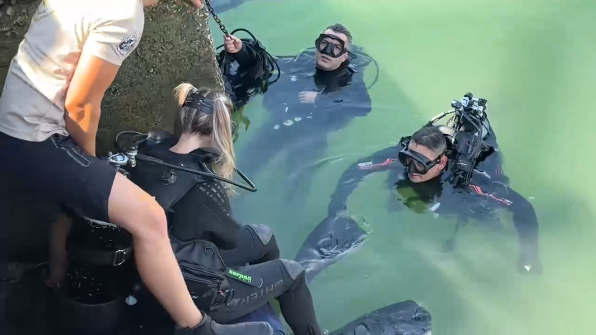 Turiști au experimentat scufundări în Marea Neagră alături de scafandrii militari români