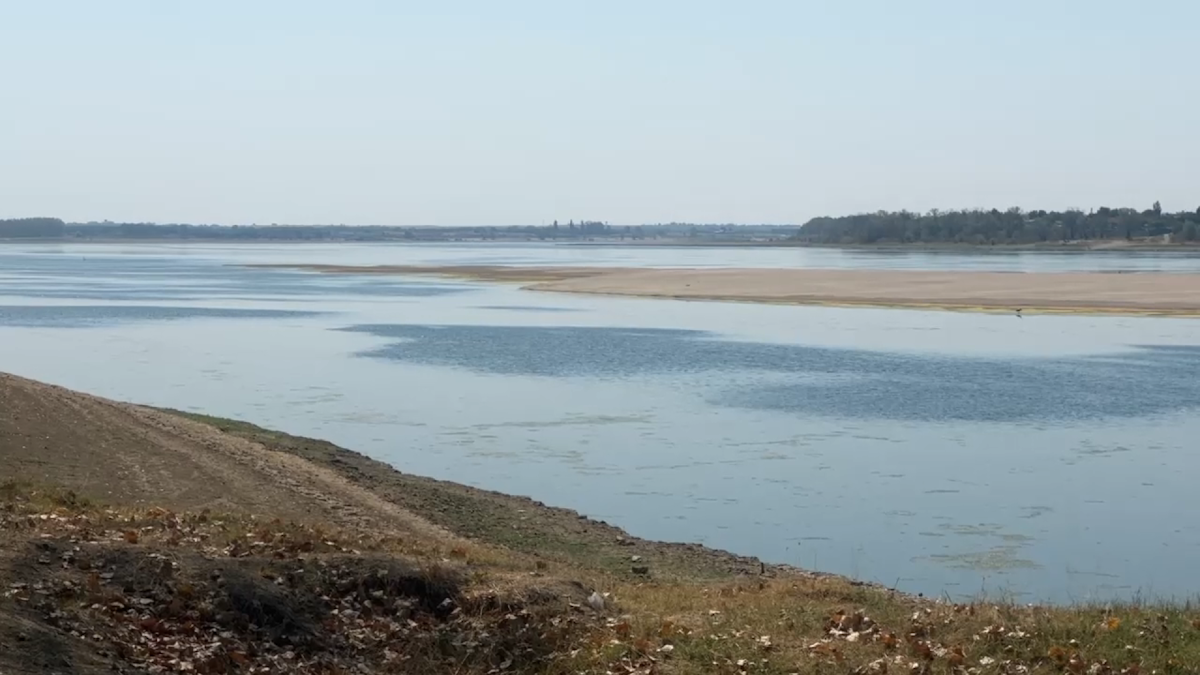 Seceta aduce schimbări majore în ecosistemele Dunării și ale râurilor