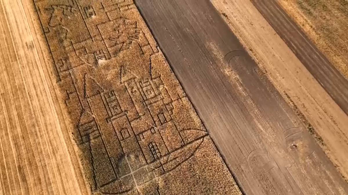 Labirint uriaș în lanul de porumb, construit manual în sat din Ungaria