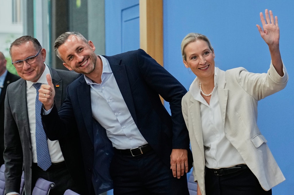 Victoria istorică a AfD în Germania divizează Europa. Reacțiile liderilor europeni