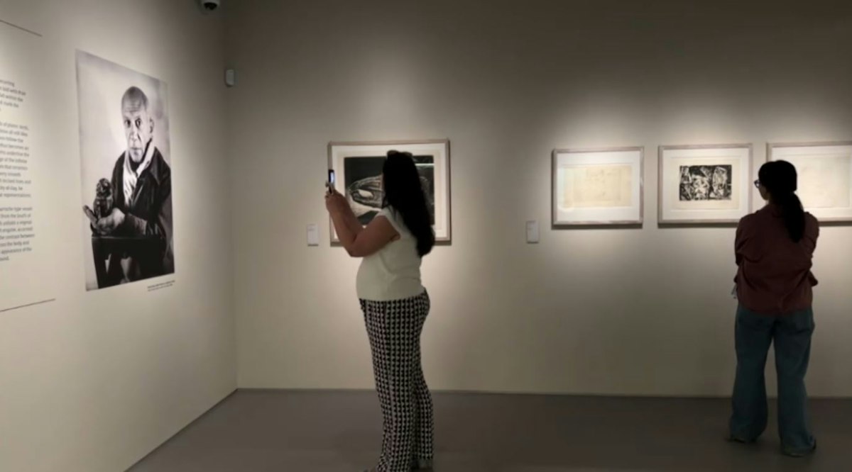 Expoziția „Picasso en visite” aduce în premieră 69 de lucrări la Timișoara din Muzeul Picasso din Antibes