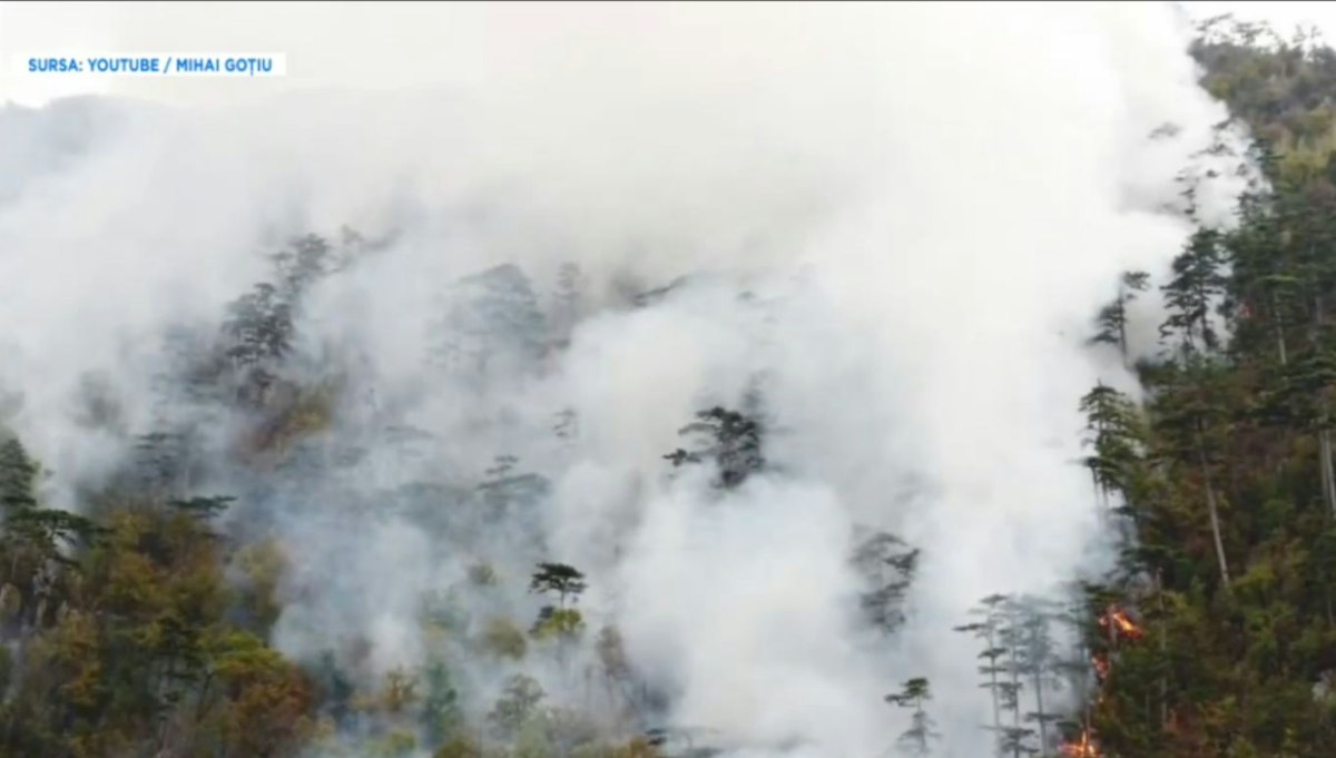A doua lună de incendii la Herculane afectează sute de hectare