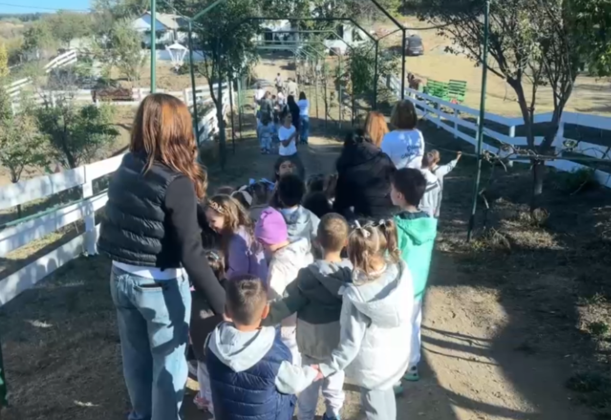 Copiii învață despre viața la țară și frământarea pâinii la un conac din Dolj