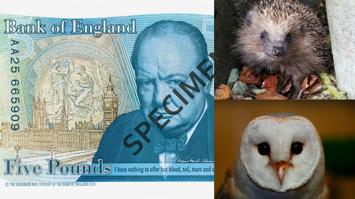 Înlocuirea lui Winston Churchill cu animale pe noile bancnote din Marea Britanie