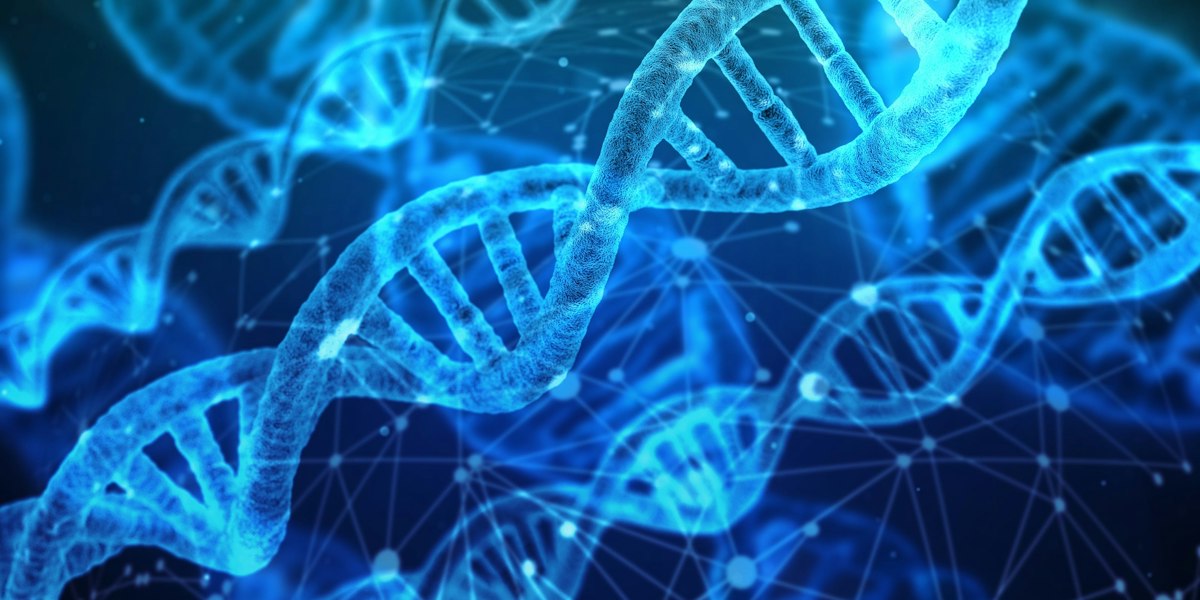 Inteligența artificială similară ChatGPT, folosită pentru evaluarea riscului genetic de accident vascular cerebral