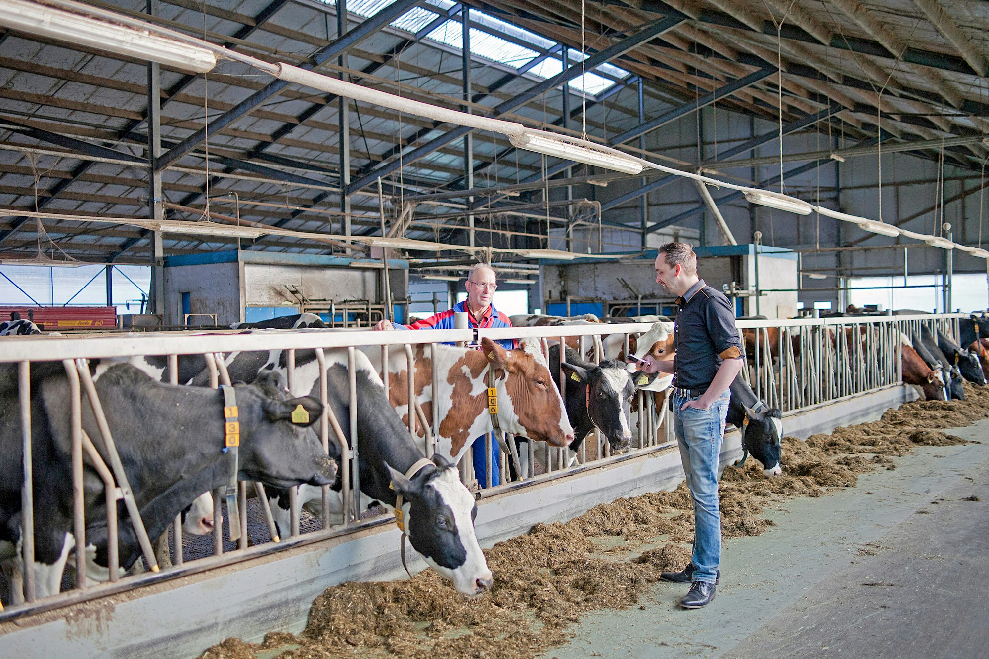 Boeren met een smartphone in een moderne koeienstal