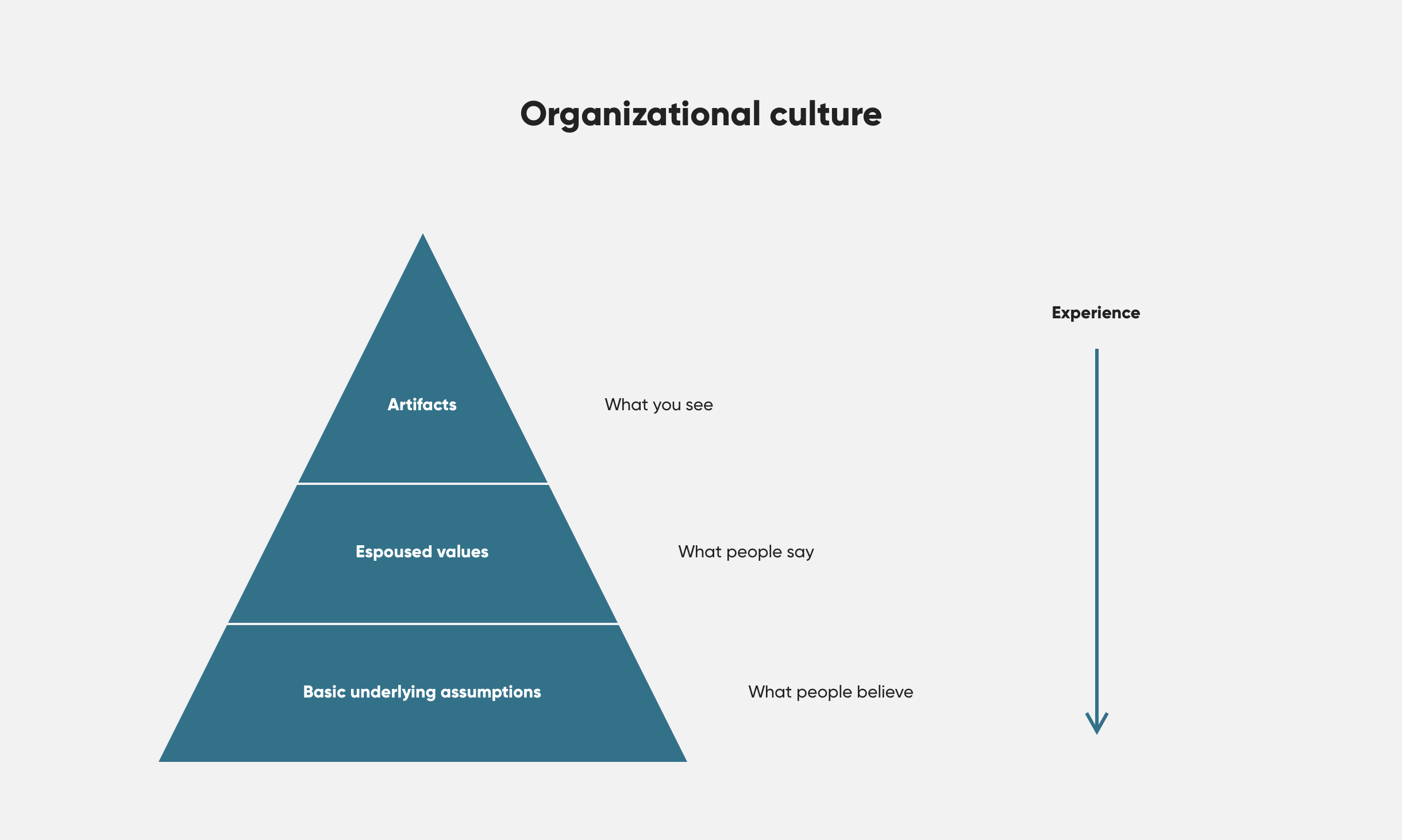 We experience a culture through what we can see and hear