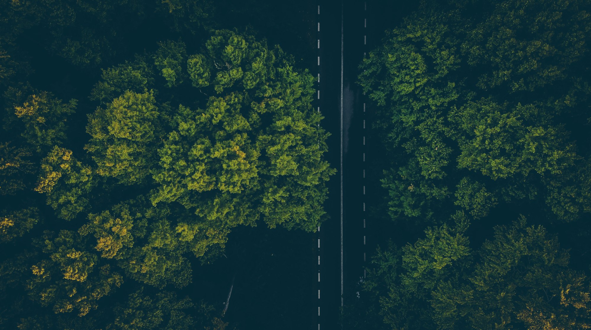 Sustainable web design