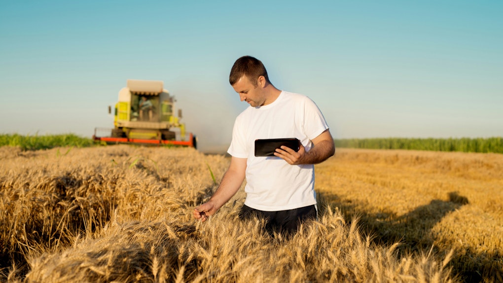 Digital solutions for real life.