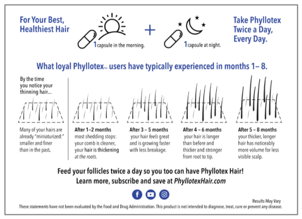 phyllotex infographic