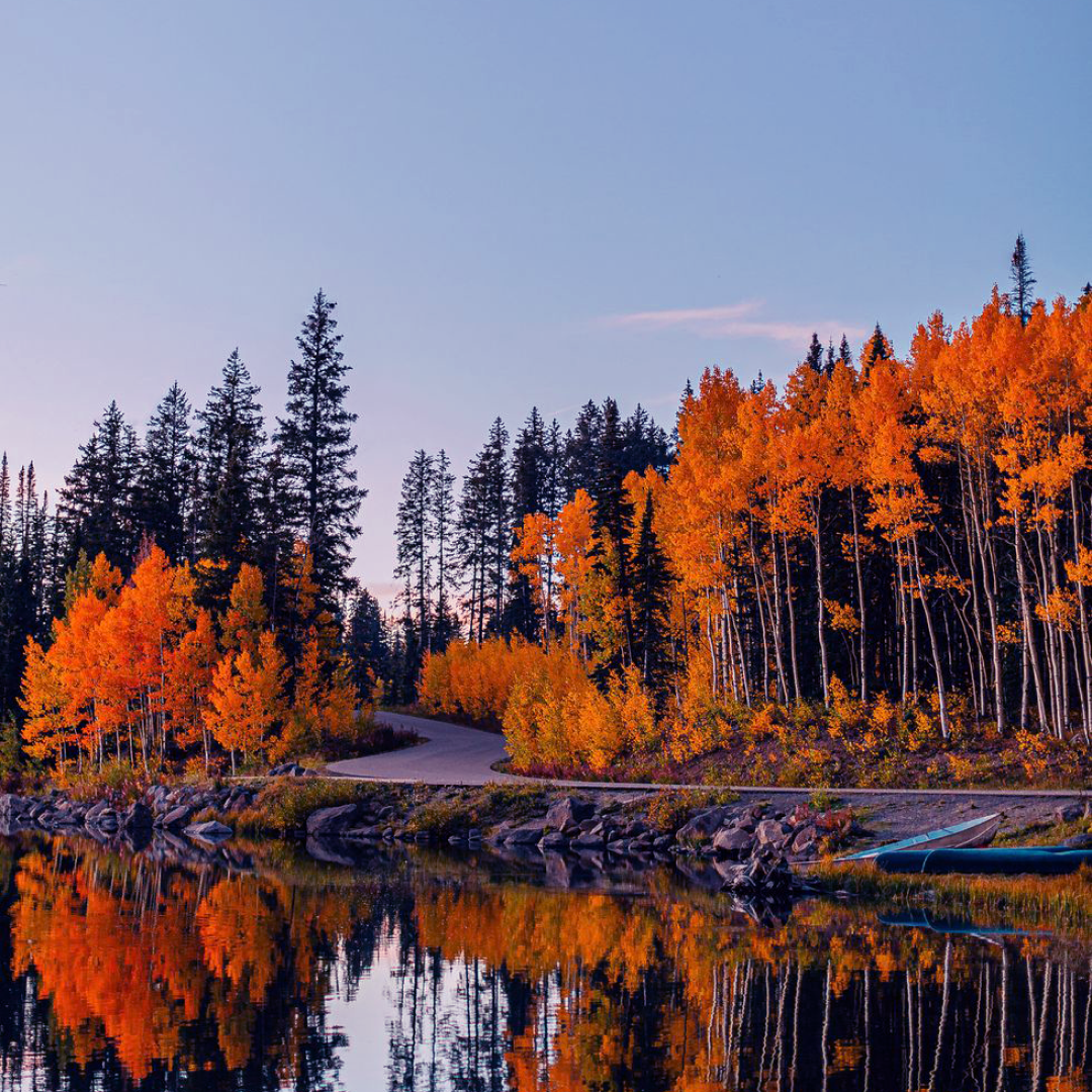 Fall Foliage on a lake