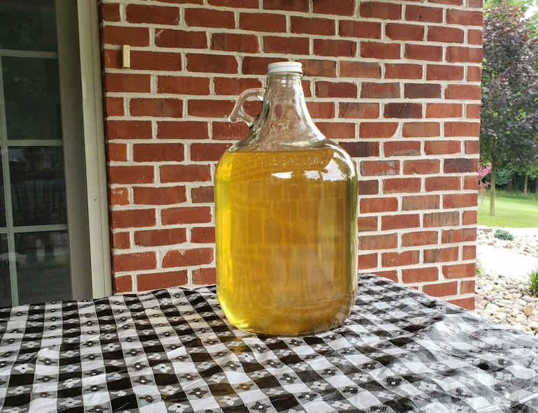 Cover Image for Dandelion Wine