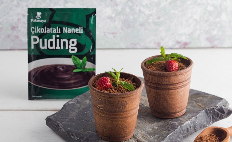 saksıda puding