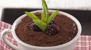 Pudingli Tiramisu Tarifi