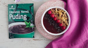 Taze Meyve Püreli Çikolatalı Naneli Puding Tarifi