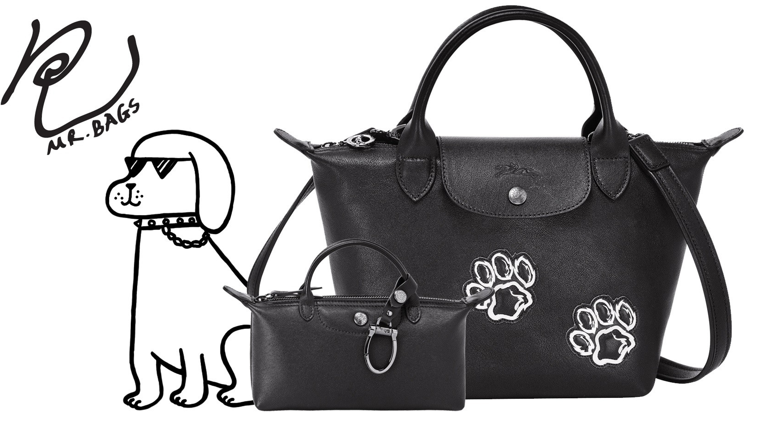 sac longchamp chien