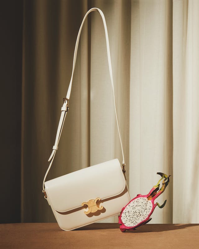 Celine sac triomphe sale