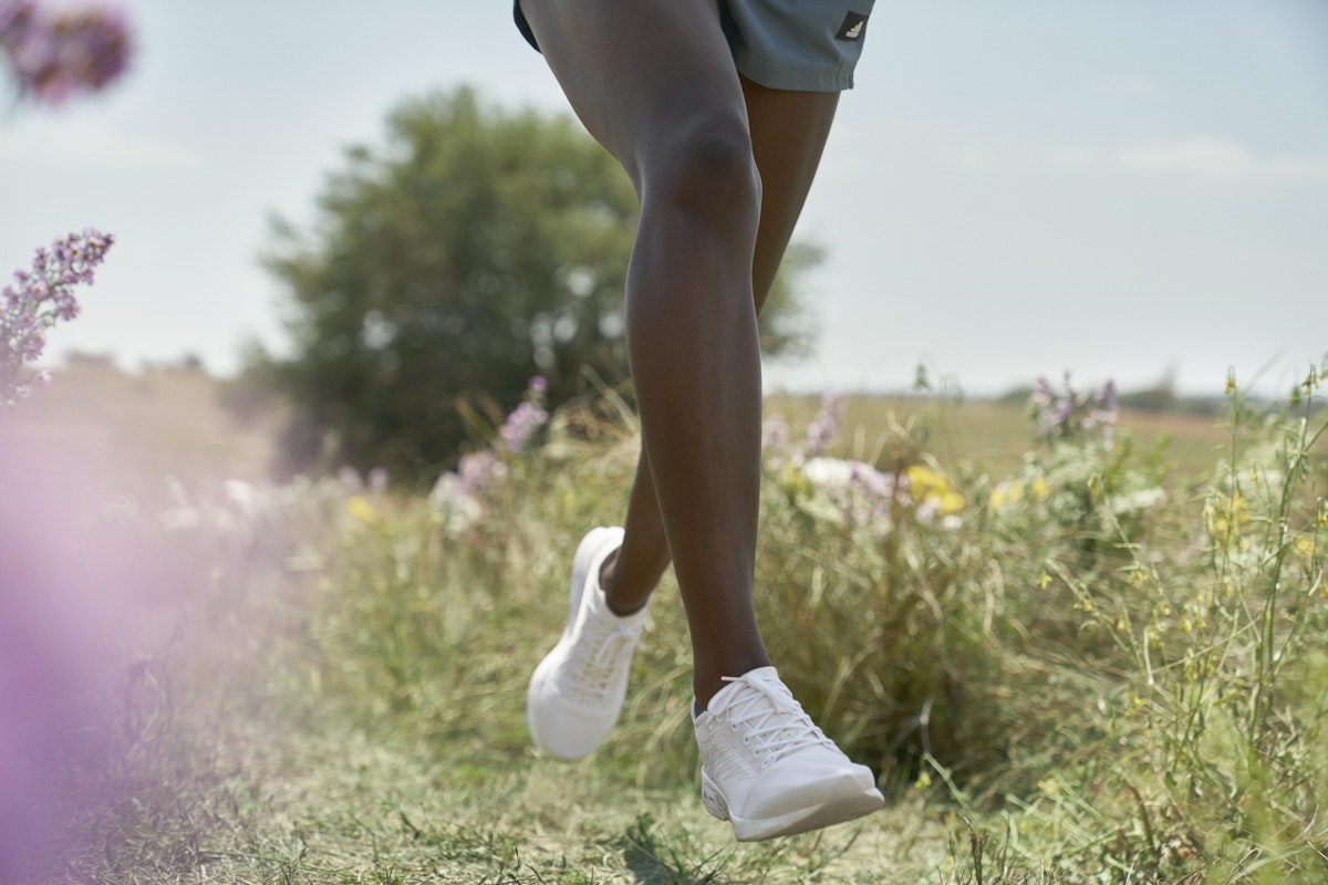 allbirds adidas collab release date