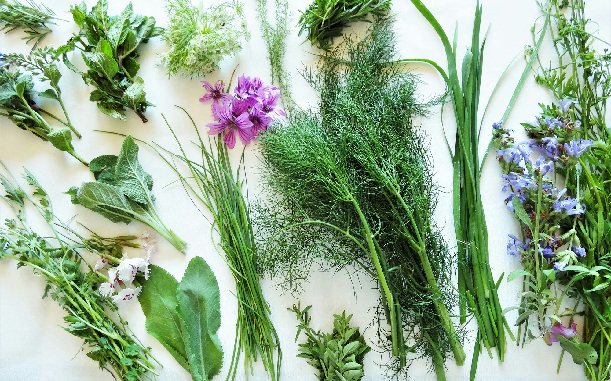 L'agriculture régénérative, l'avenir de la gastronomie ?  Flipboard
