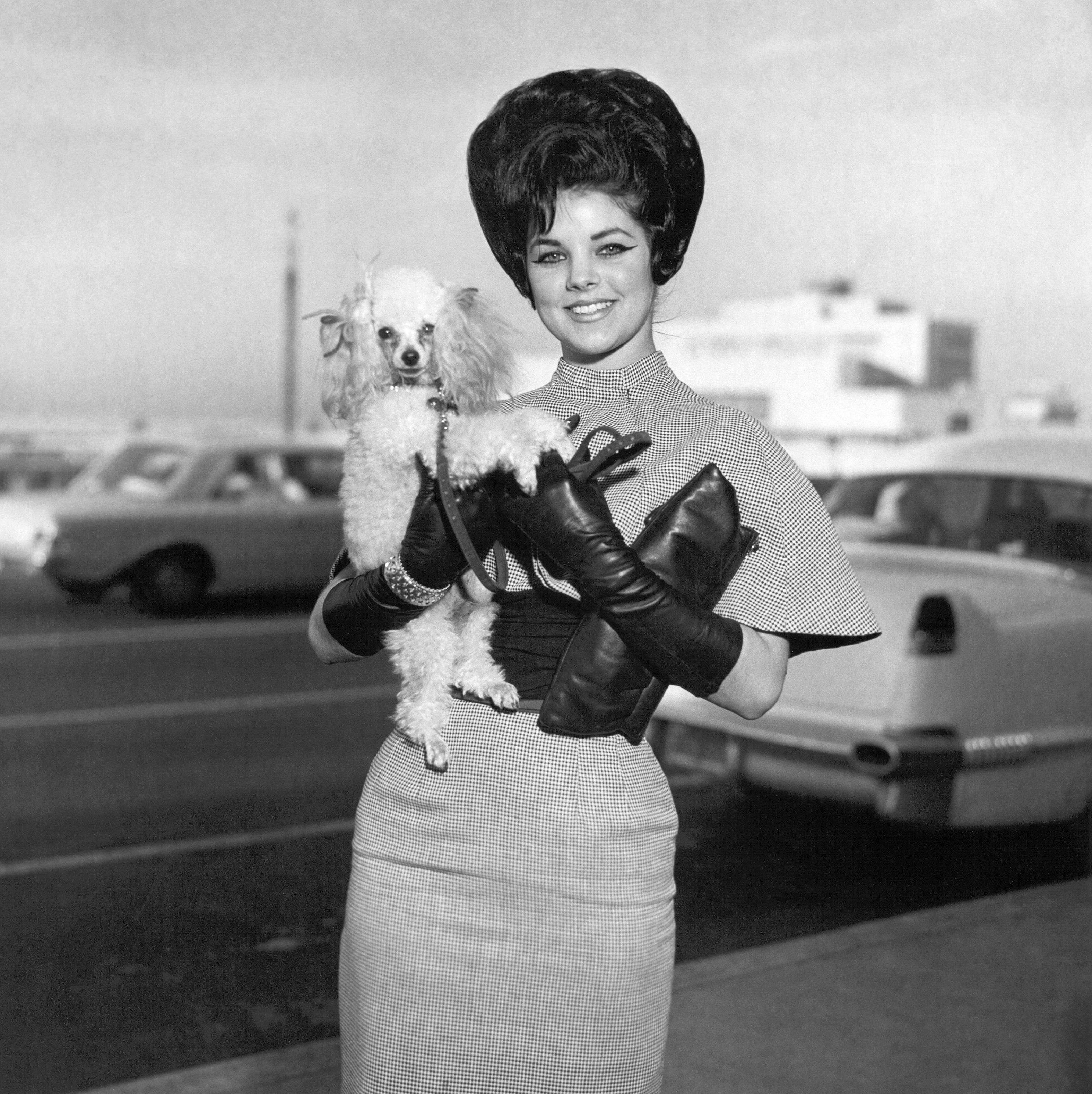 Priscilla Presley, de ser una joven anónima a un icono de estilo