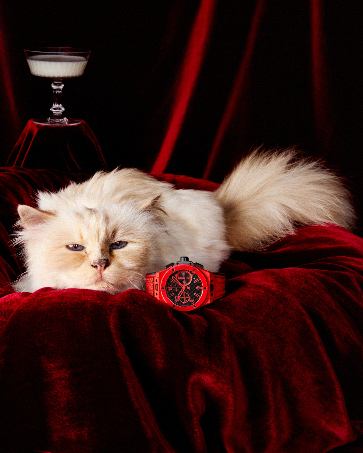 Avec Choupette, Hublot fête les 20 ans de la Big Bang