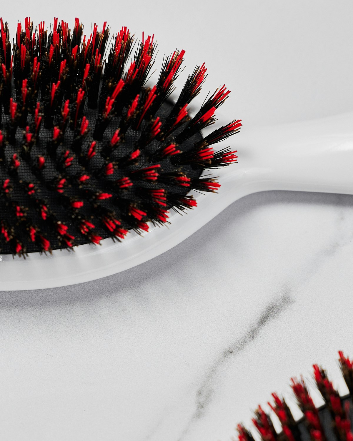 Flora Lab : de l’art du brossage