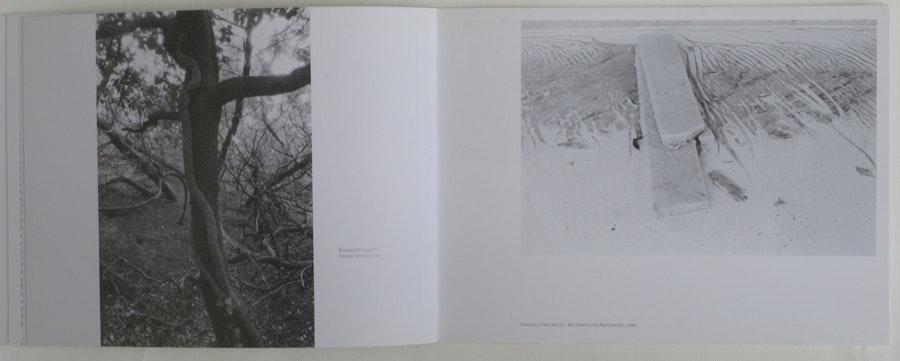 1516356118 258.jpeg?w=900&format=jpg&fit=crop