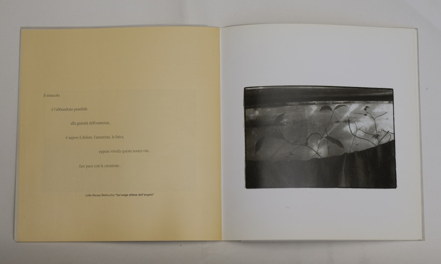 1516356226 271.jpeg?w=900&format=jpg&fit=crop