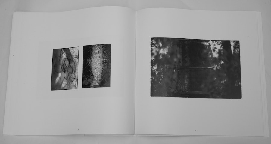 1516356344 278.jpeg?w=900&format=jpg&fit=crop