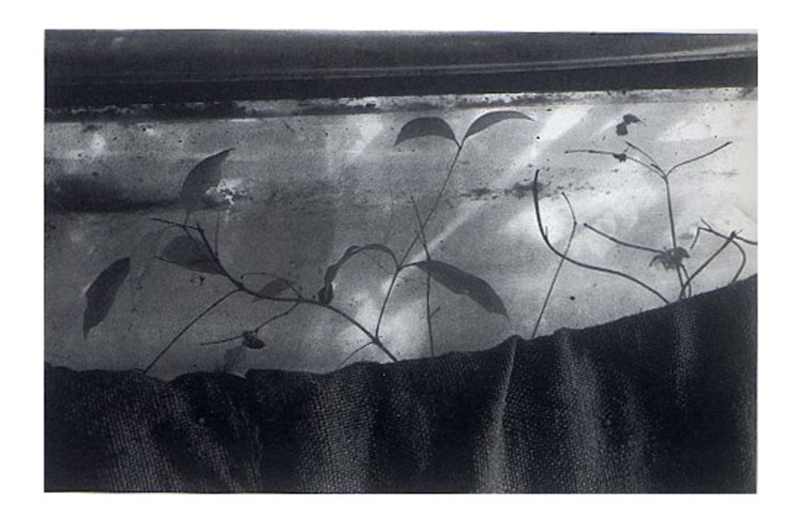 1516356457 308.jpeg?w=900&format=jpg&fit=crop