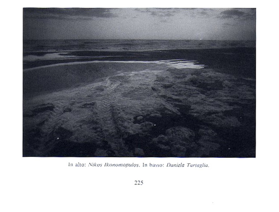 1516356484 317.jpeg?w=900&format=jpg&fit=crop