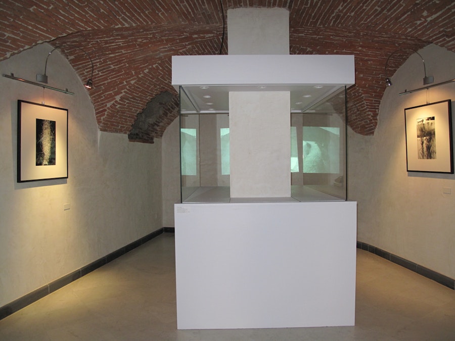 1516356863 335.jpeg?w=900&format=jpg&fit=crop