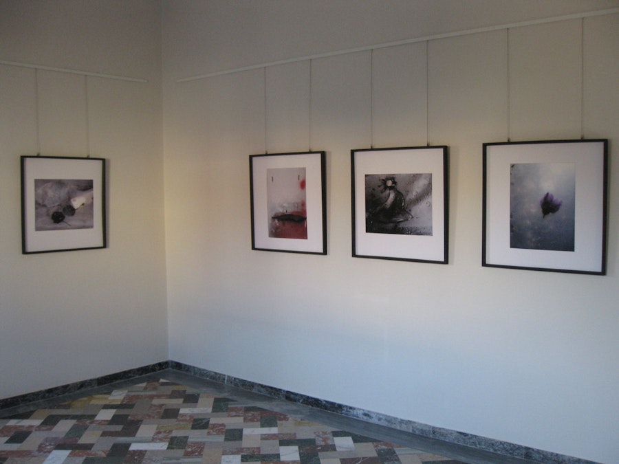 1516357659 369.jpeg?w=900&format=jpg&fit=crop