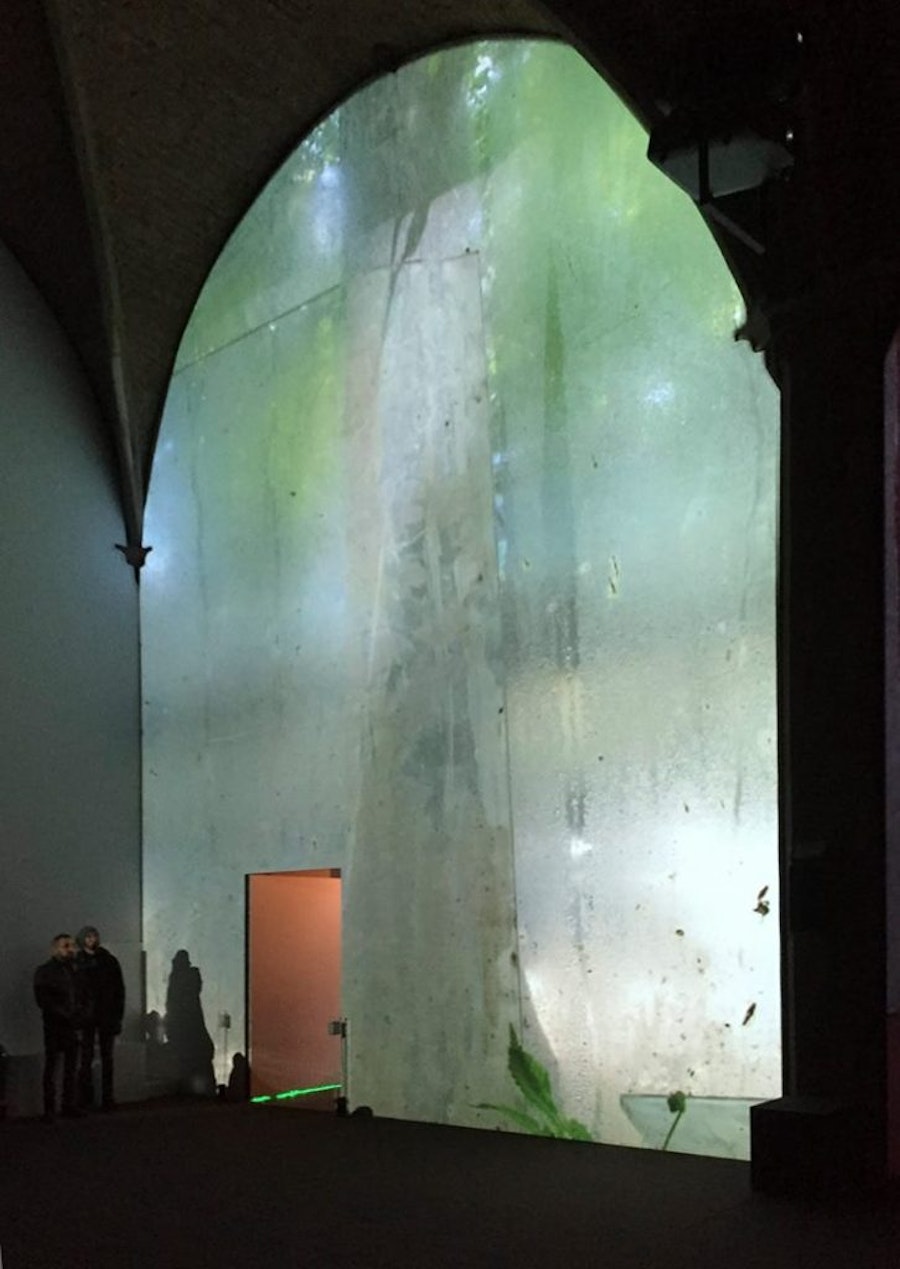 1516359179 450.jpeg?w=900&format=jpg&fit=crop