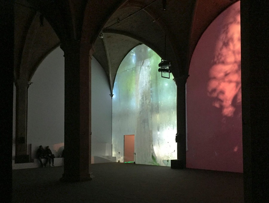 1516359185 451.jpeg?w=900&format=jpg&fit=crop