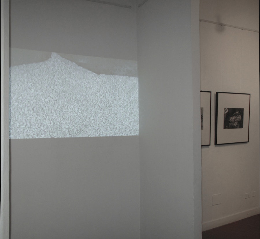 1516359308 466.jpeg?w=900&format=jpg&fit=crop