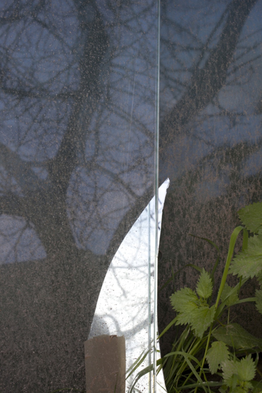 1516359400 478.jpeg?w=900&format=jpg&fit=crop