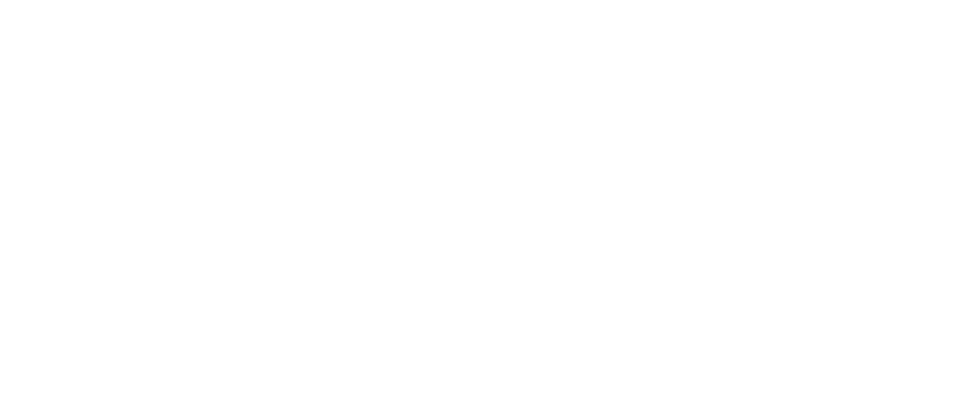 Sundance 2020, white