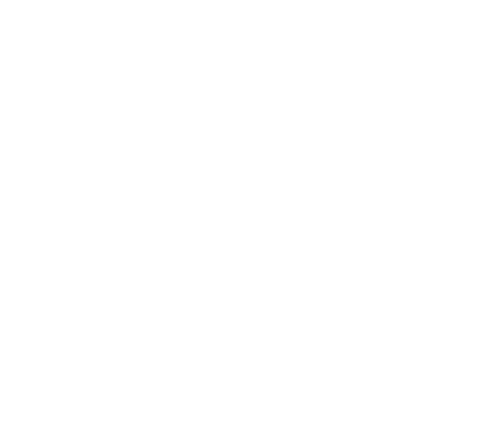 Rotterdam Film Festival