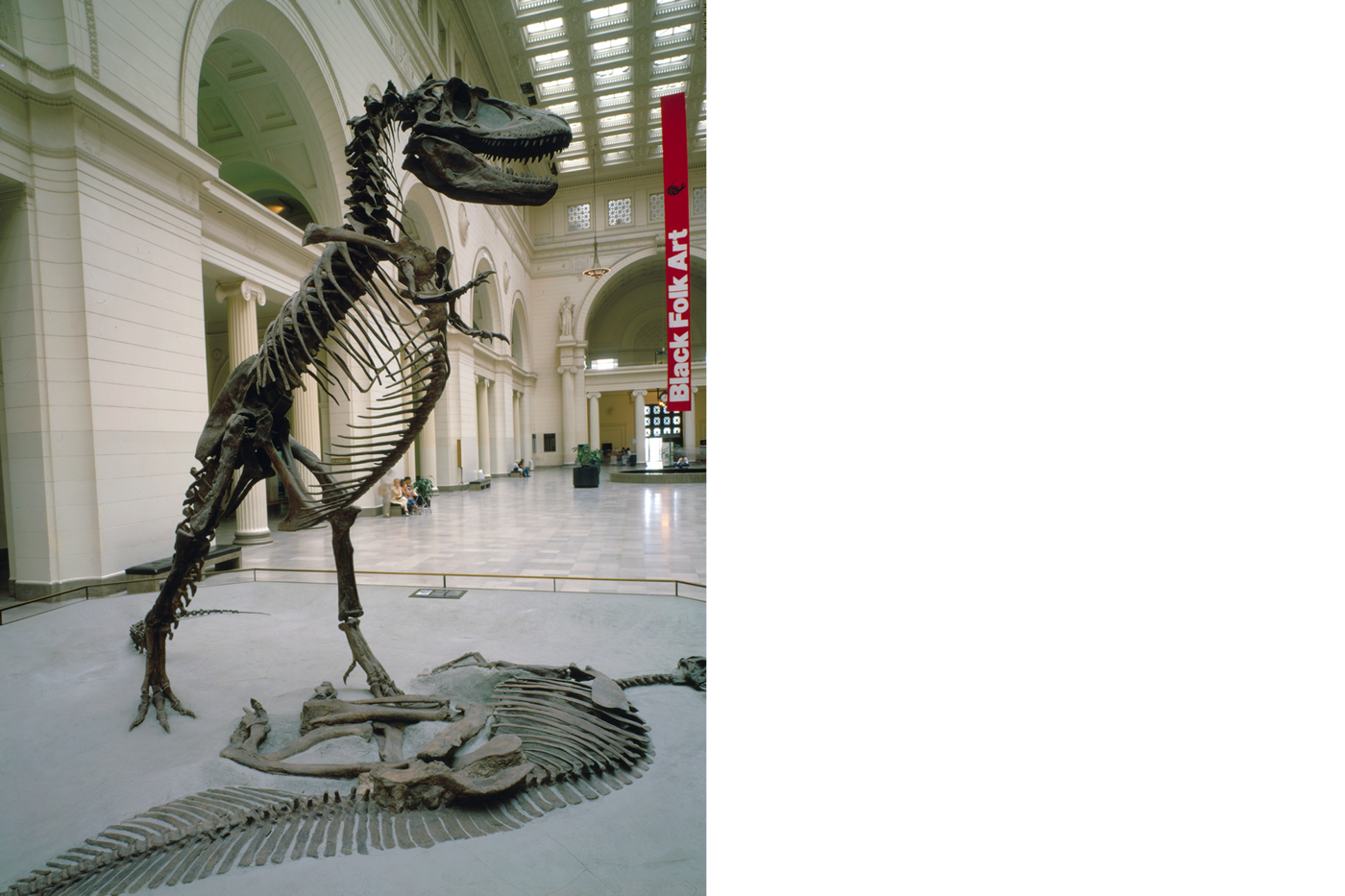 SUE the T. rex - Field Museum