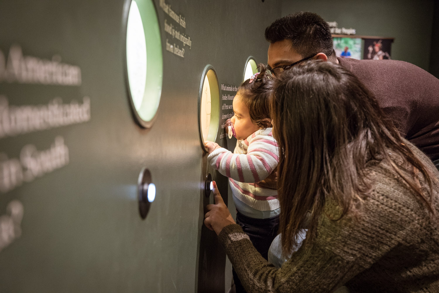 A family peers into an interactive display to learn about animals domesticated by Peru’s Andean societies.