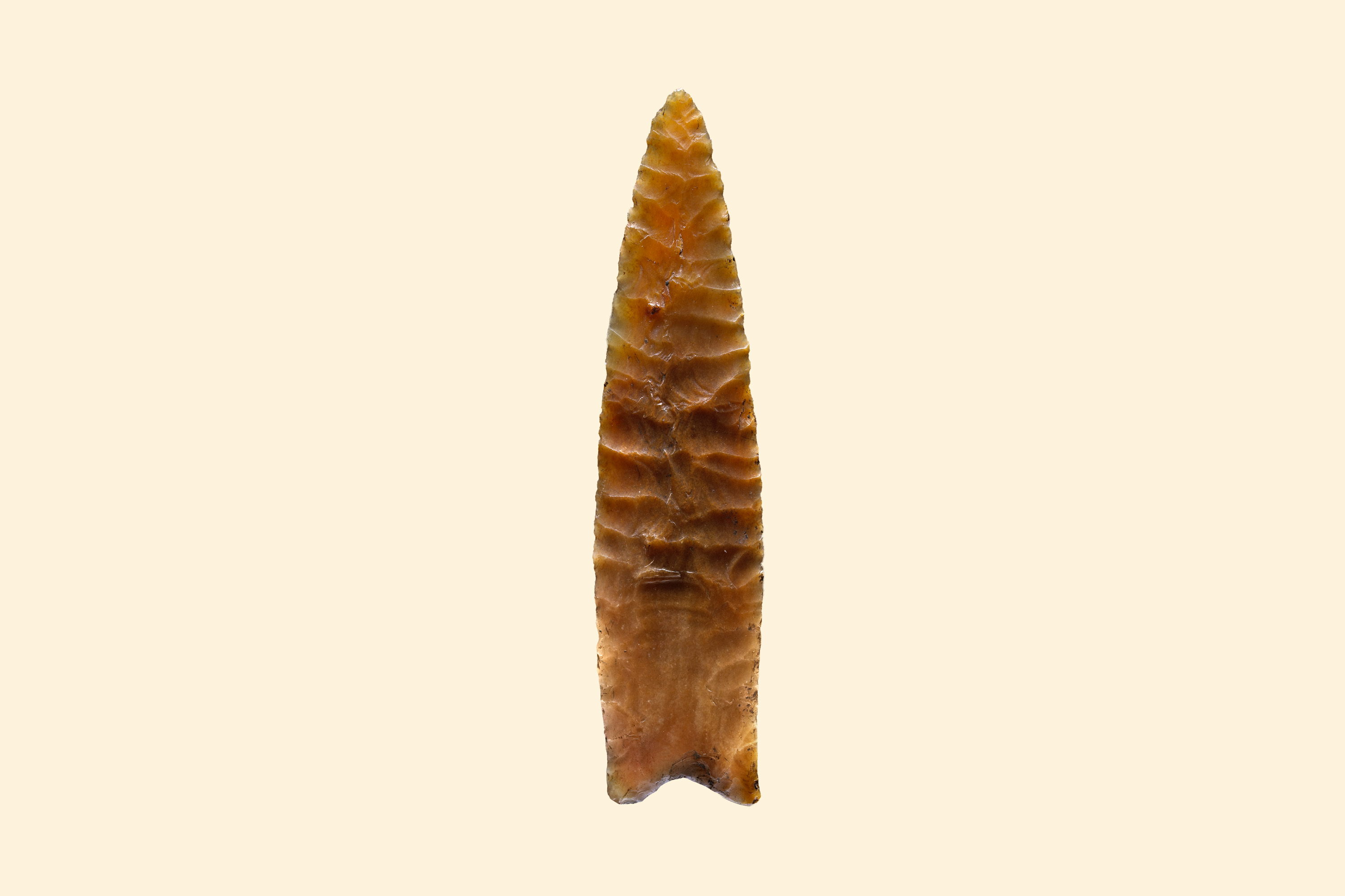 The Clovis people were Ice Age hunter-gatherers who relied on expertly crafted spear points like this one for a successful hunt.