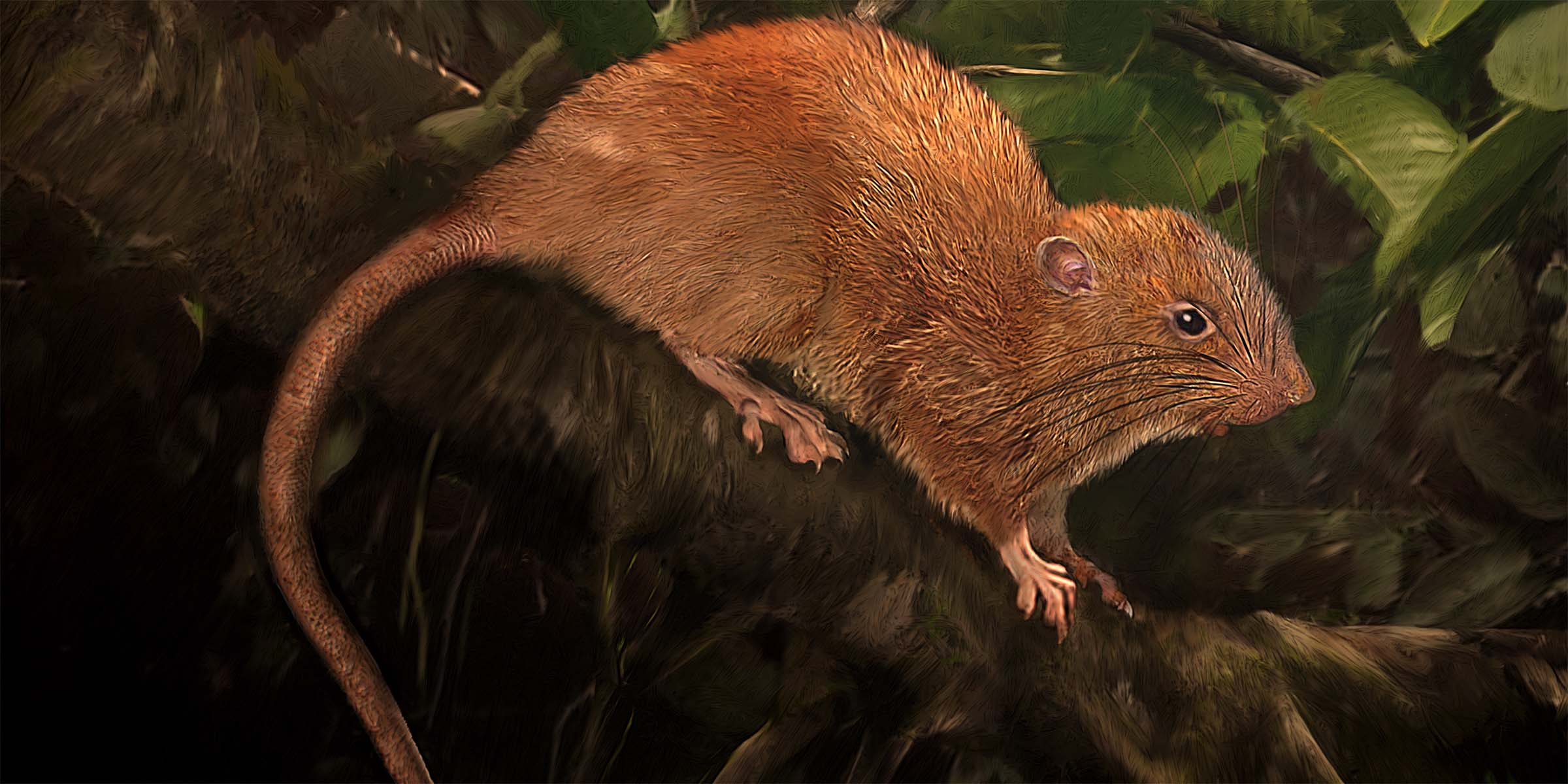 Lifelike illustration of a a large brown rat on a tree branch, surrounded by green foliage.