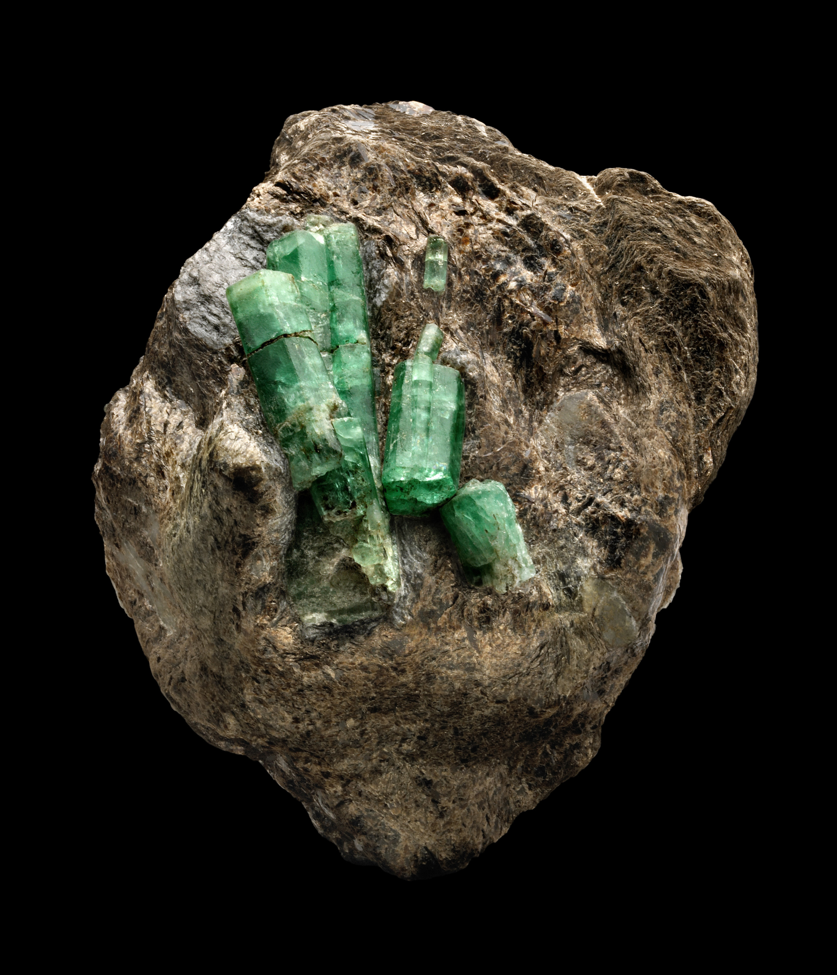 Natural emerald crystals embedded in a black mica schist matrix.