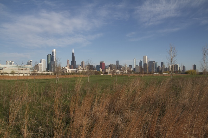 A view across Northerly Island in March 2012. The grove of willows and grasslands that cross the island were removed in 2013 to expand the amphitheater.