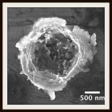 Image for Study on sulfur-rich comet dust published